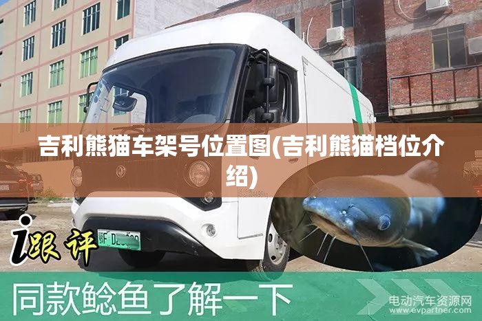 吉利熊猫车架号位置图(吉利熊猫档位介绍)