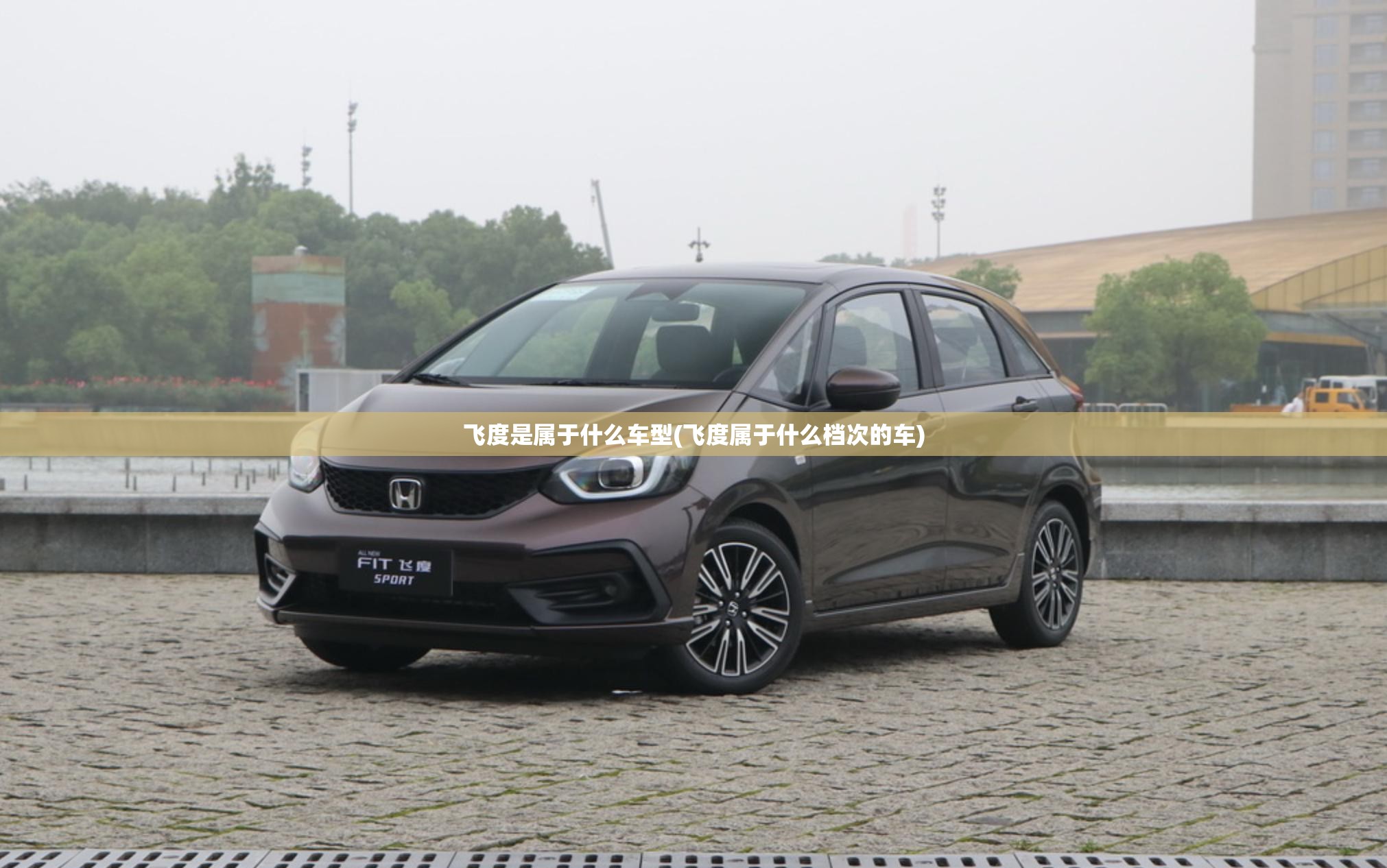 飞度是属于什么车型(飞度属于什么档次的车)