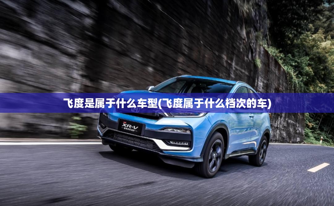 飞度是属于什么车型(飞度属于什么档次的车)
