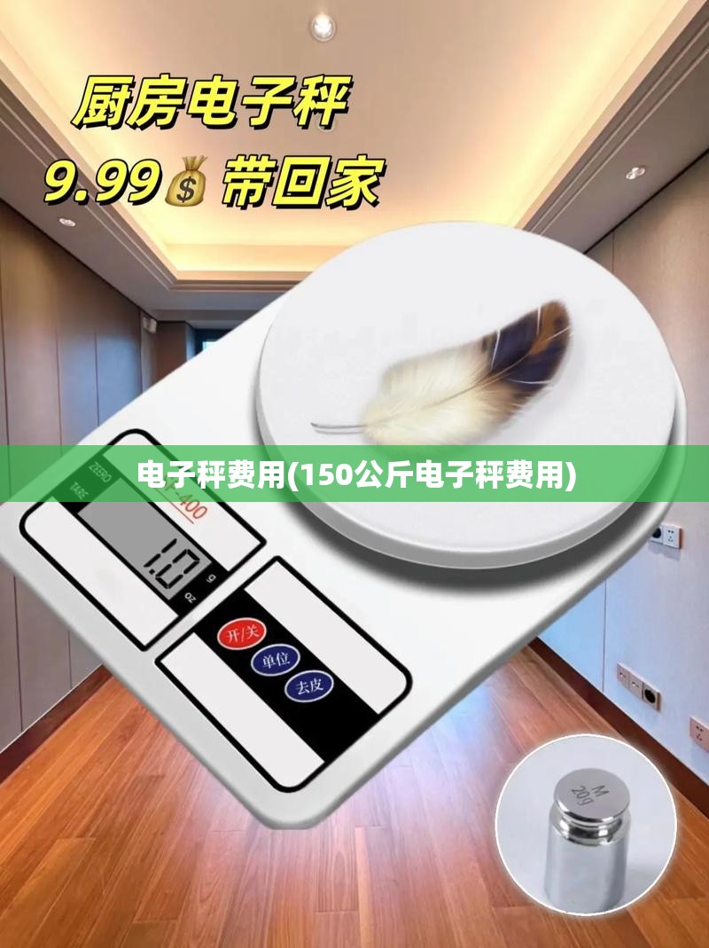 电子秤费用(150公斤电子秤费用)