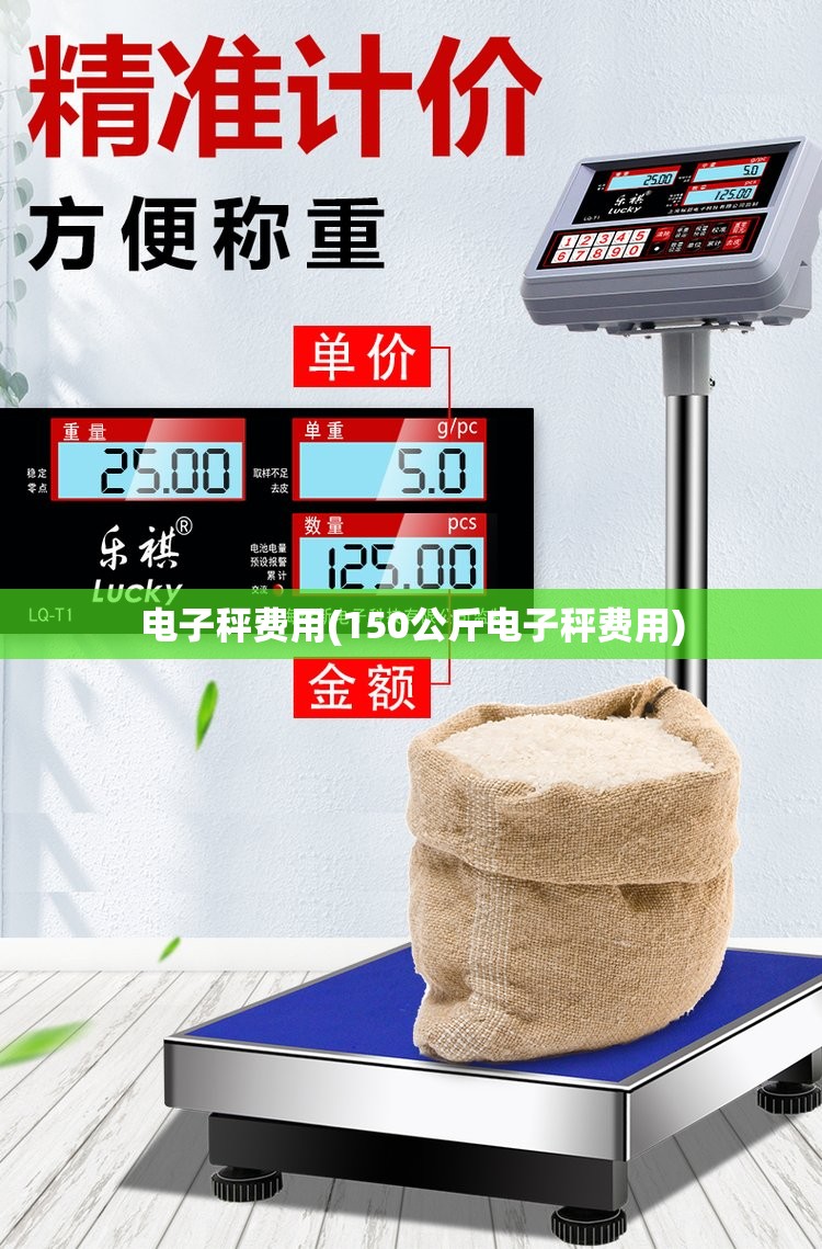 电子秤费用(150公斤电子秤费用)