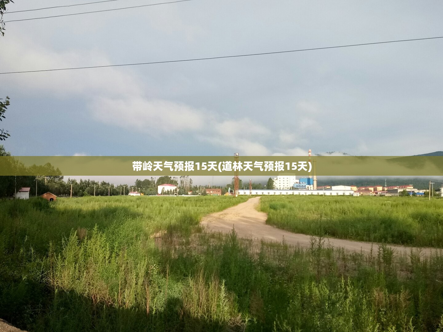 【中原证券,中原证券股票】