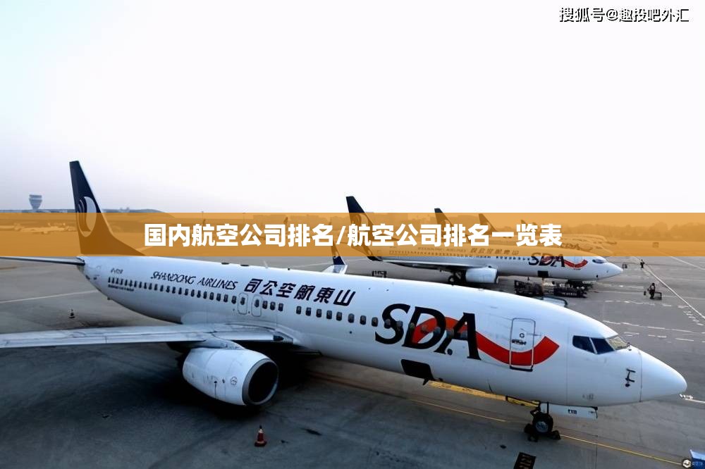 国内航空公司排名/航空公司排名一览表 国内航空公司排名/航空公司排名一览表