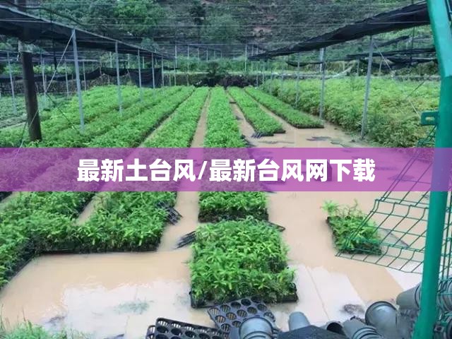 最新土台风/最新台风网下载 最新土台风/最新台风网下载