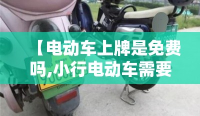 【电动车上牌是免费吗,小行电动车需要上牌照吗】