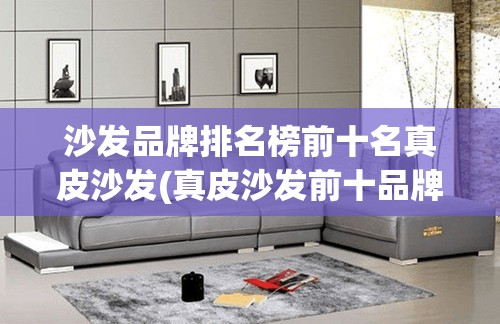 沙发品牌排名榜前十名真皮沙发(真皮沙发前十品牌榜中榜) 沙发品牌排名榜前十名真皮沙发(真皮沙发前十品牌榜中榜)