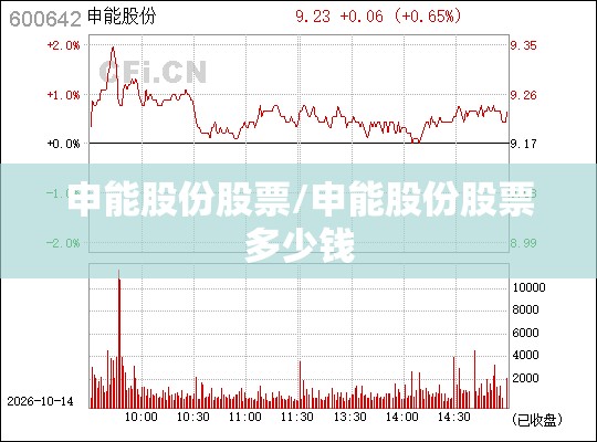 申能股份股票/申能股份股票多少钱