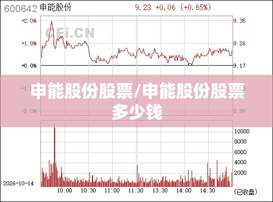 申能股份股票/申能股份股票多少钱