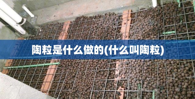 陶粒是什么做的(什么叫陶粒)