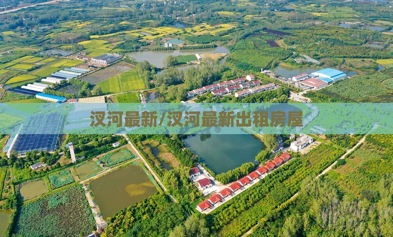 汊河最新/汊河最新出租房屋