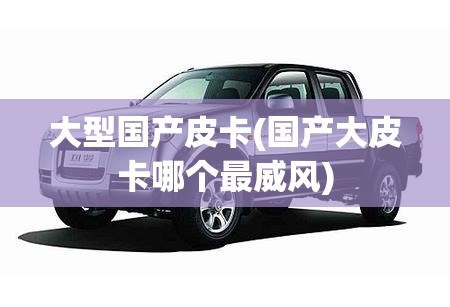 大型国产皮卡(国产大皮卡哪个最威风) 大型国产皮卡(国产大皮卡哪个最威风)