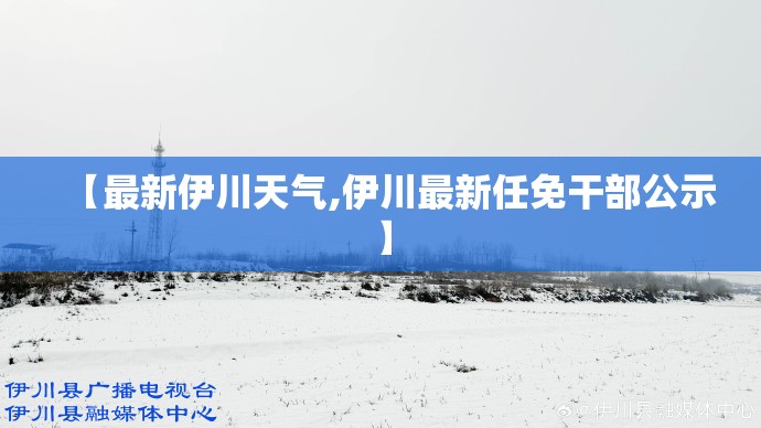 【最新伊川天气,伊川最新任免干部公示】 【最新伊川天气,伊川最新任免干部公示】