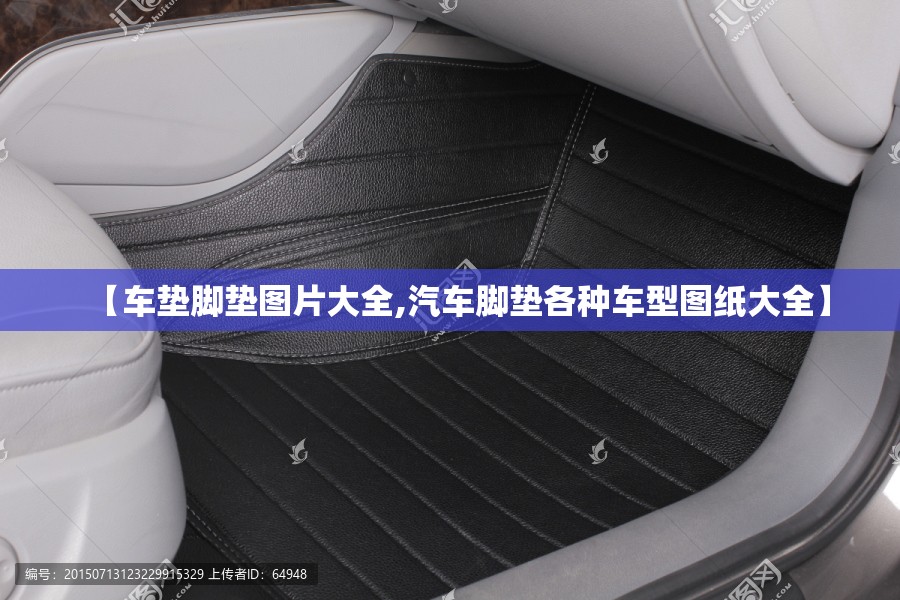 【车垫脚垫图片大全,汽车脚垫各种车型图纸大全】