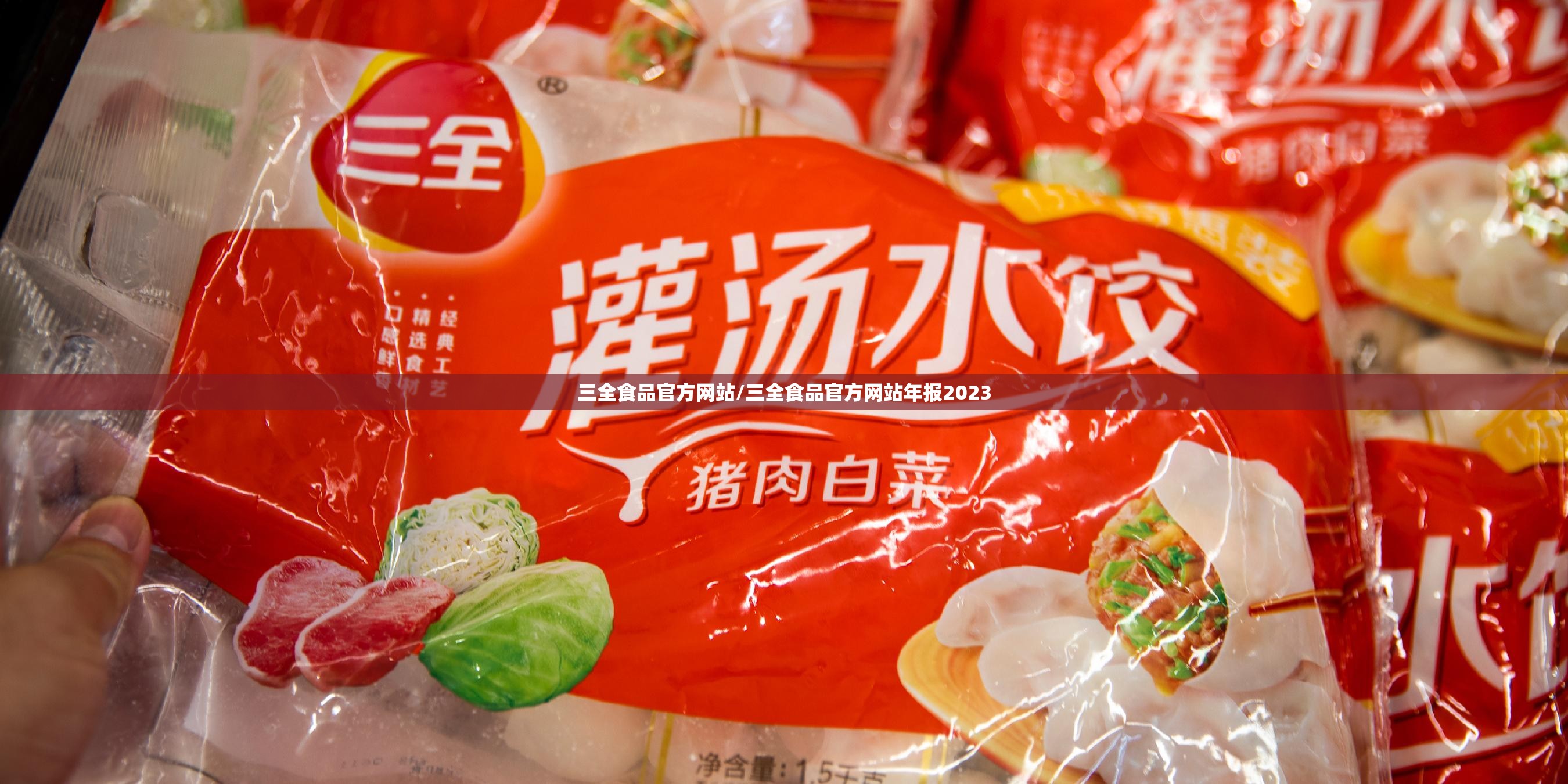 三全食品官方网站/三全食品官方网站年报2023 三全食品官方网站/三全食品官方网站年报2023