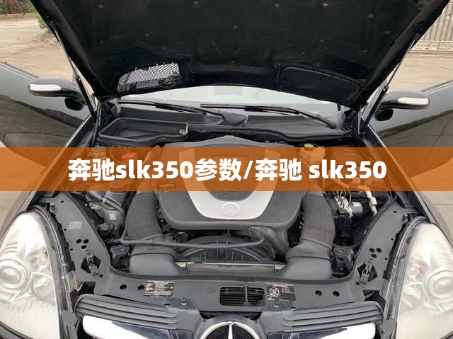 奔驰slk350参数/奔驰 slk350