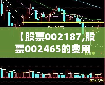 【股票002187,股票002465的费用】