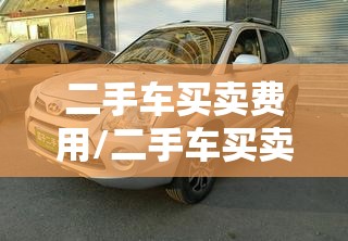 二手车买卖费用/二手车买卖费用自己定吗