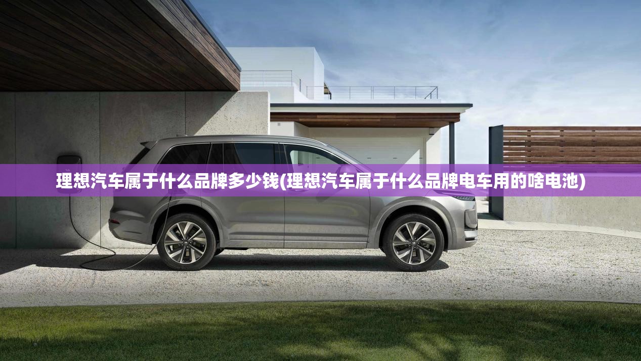 理想汽车属于什么品牌多少钱(理想汽车属于什么品牌电车用的啥电池) 理想汽车属于什么品牌多少钱(理想汽车属于什么品牌电车用的啥电池)