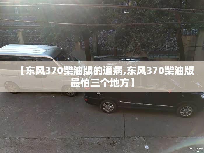 【东风370柴油版的通病,东风370柴油版最怕三个地方】