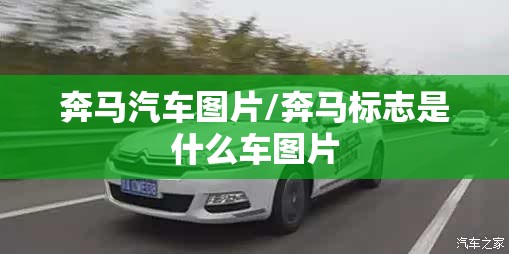奔马汽车图片/奔马标志是什么车图片