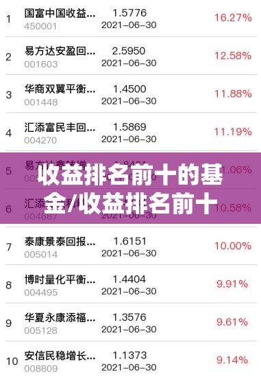 收益排名前十的基金/收益排名前十的基金经理 收益排名前十的基金/收益排名前十的基金经理