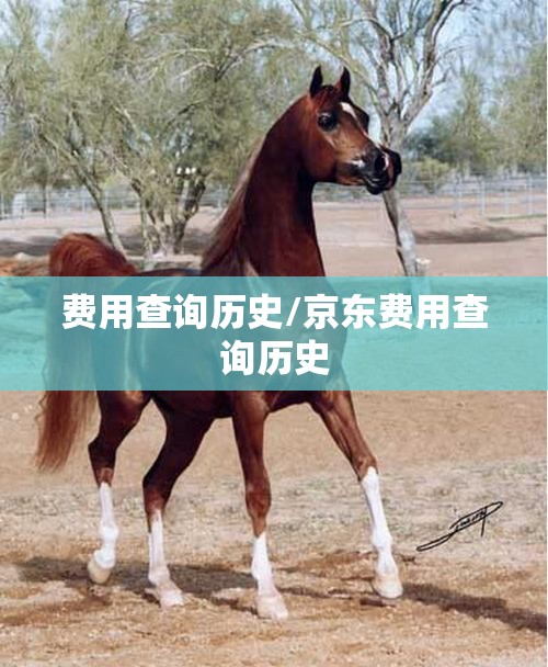 费用查询历史/京东费用查询历史