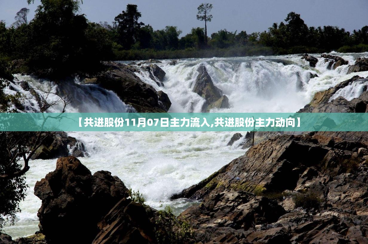 【共进股份11月07日主力流入,共进股份主力动向】 【共进股份11月07日主力流入,共进股份主力动向】