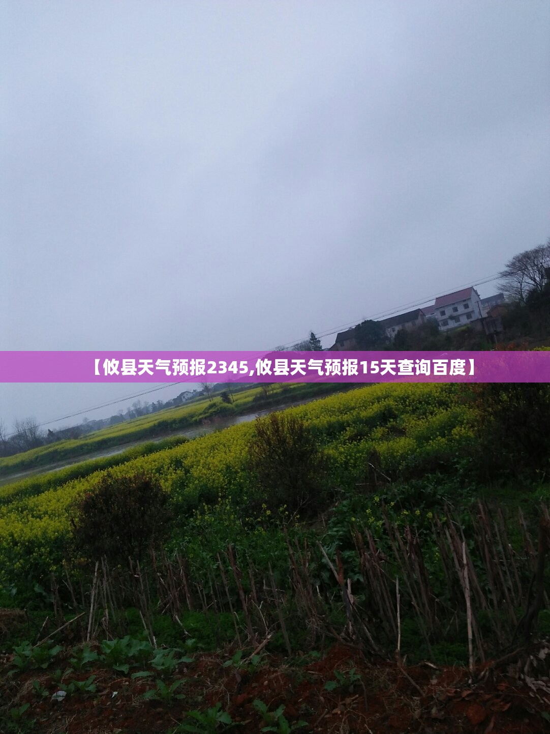 【攸县天气预报2345,攸县天气预报15天查询百度】