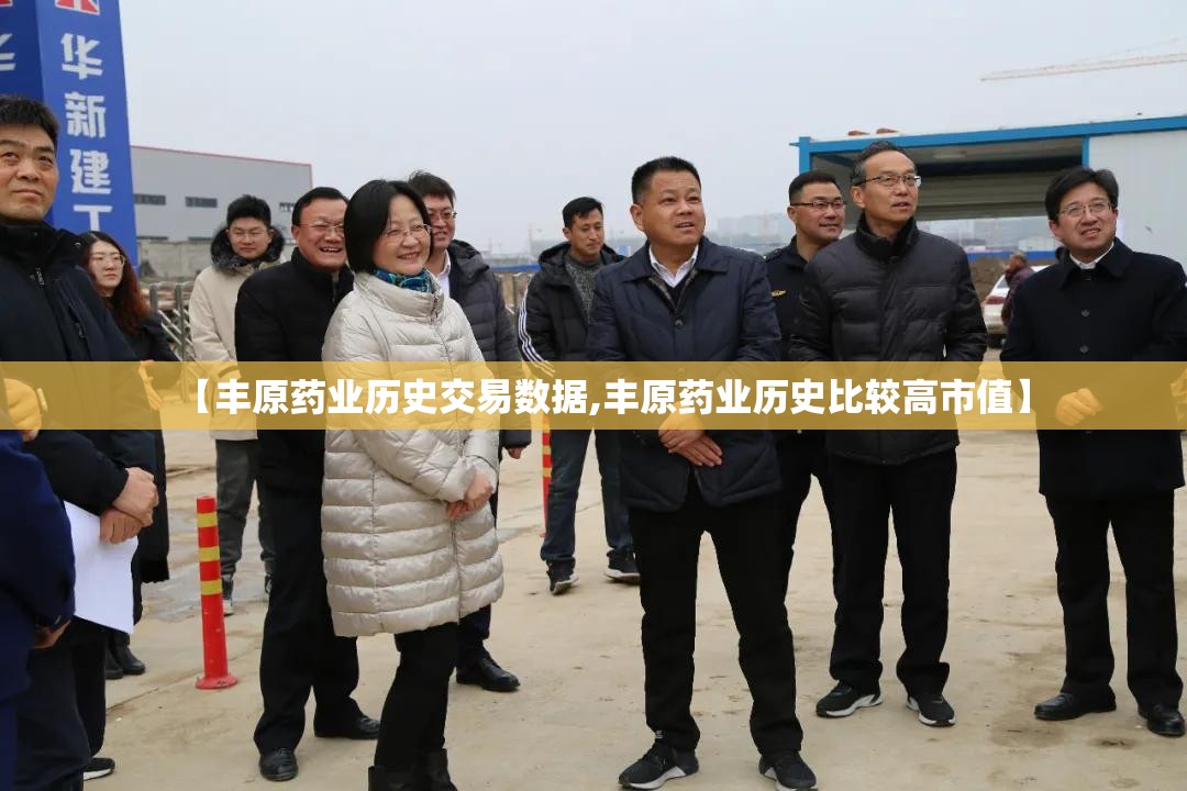 【丰原药业历史交易数据,丰原药业历史比较高市值】