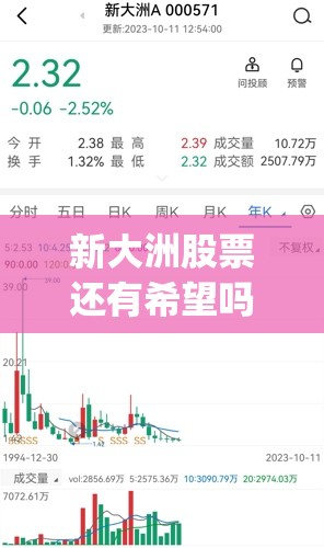 新大洲股票还有希望吗(新大洲A股票值得长期持有吗)