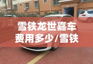 雪铁龙世嘉车费用多少/雪铁龙世嘉车怎么样