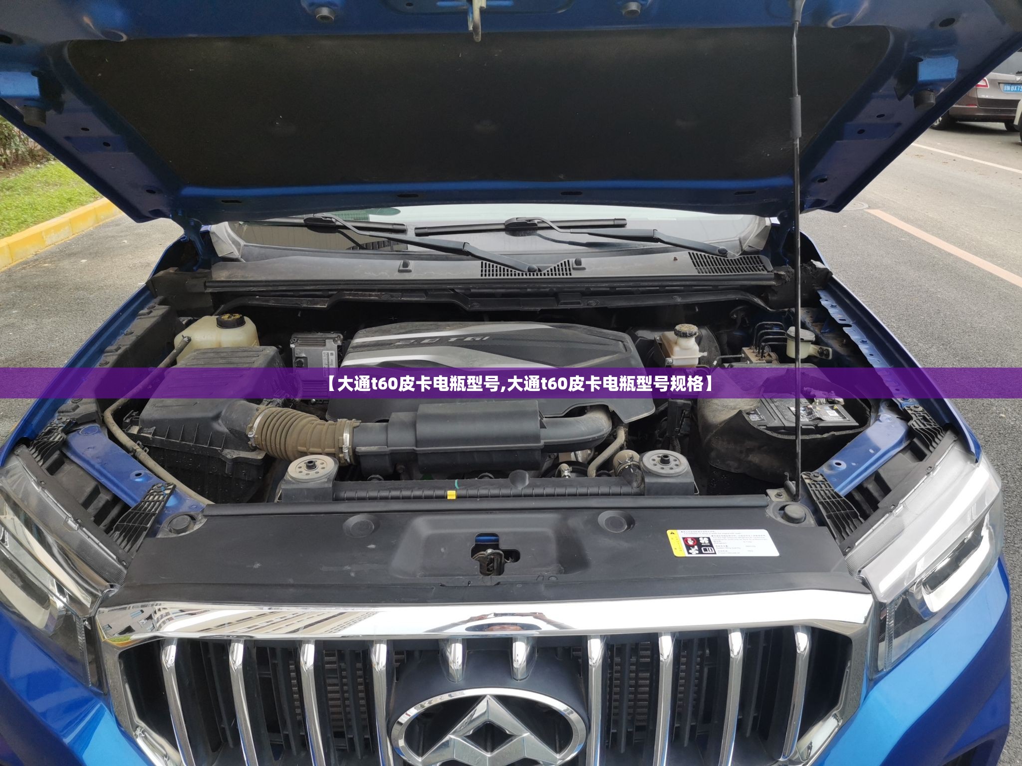 【大通t60皮卡电瓶型号,大通t60皮卡电瓶型号规格】
