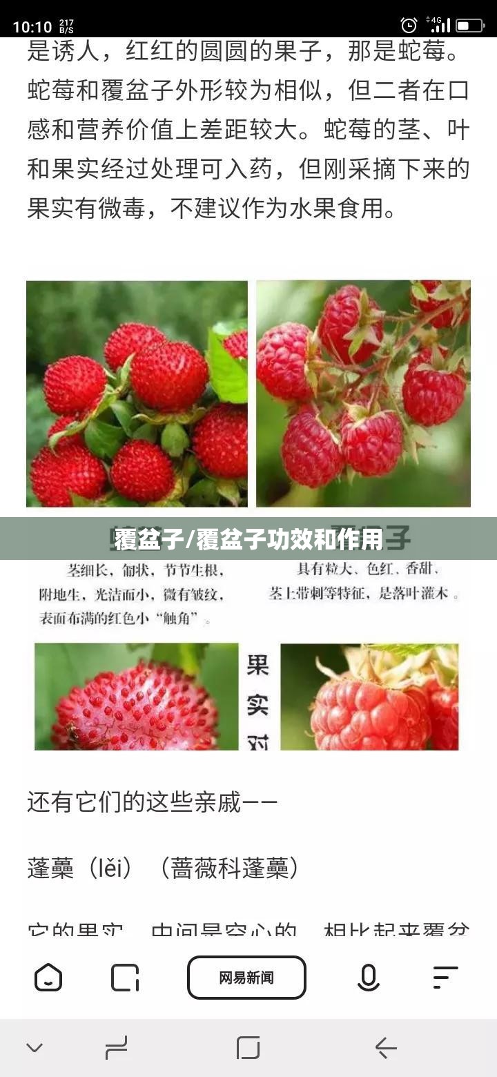 覆盆子/覆盆子功效和作用