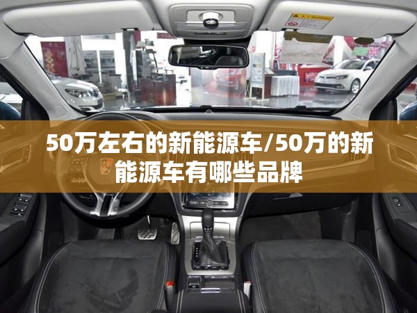 50万左右的新能源车/50万的新能源车有哪些品牌