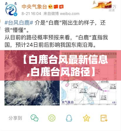 【白鹿台风最新信息,白鹿台风路径】