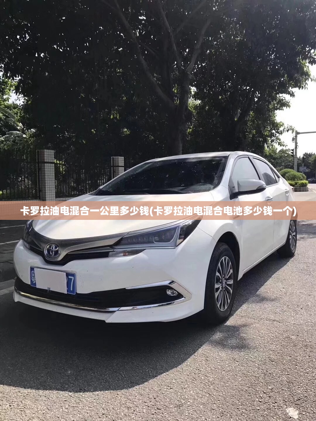 卡罗拉油电混合一公里多少钱(卡罗拉油电混合电池多少钱一个)