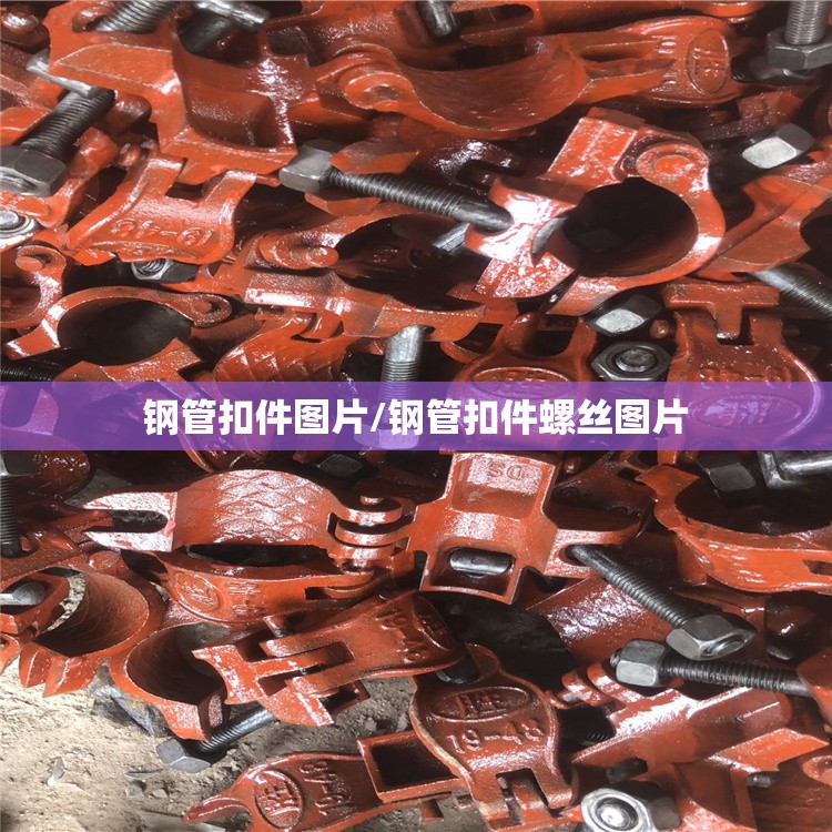 钢管扣件图片/钢管扣件螺丝图片 钢管扣件图片/钢管扣件螺丝图片