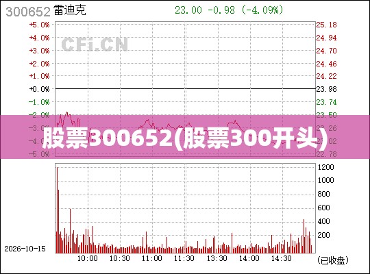 股票300652(股票300开头) 股票300652(股票300开头)