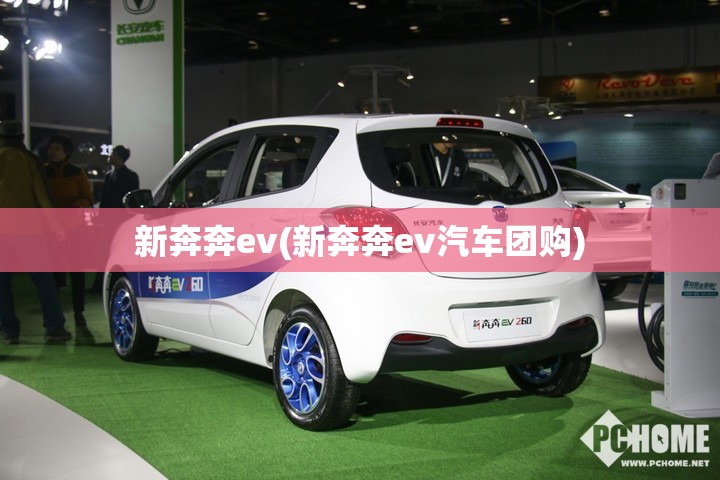 新奔奔ev(新奔奔ev汽车团购) 新奔奔ev(新奔奔ev汽车团购)