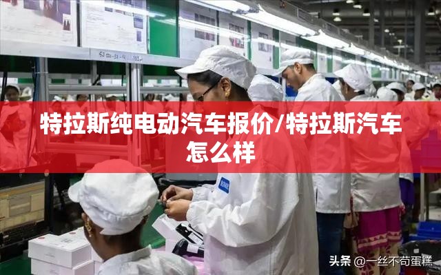 特拉斯纯电动汽车报价/特拉斯汽车怎么样