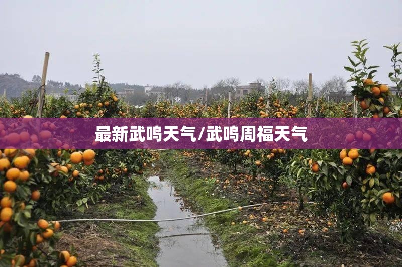 最新武鸣天气/武鸣周福天气