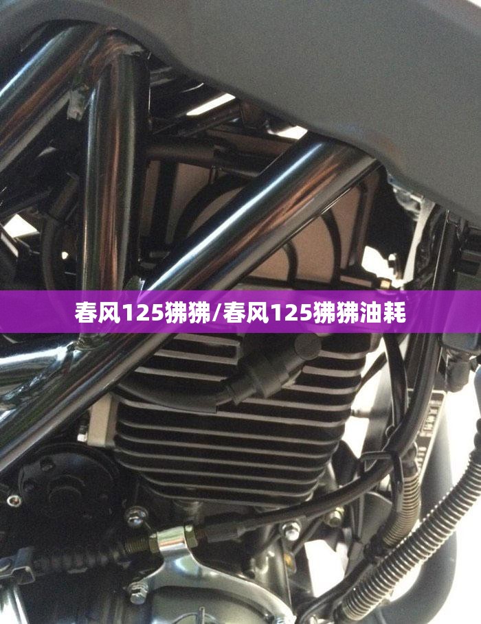春风125狒狒/春风125狒狒油耗