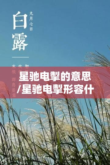 星驰电掣的意思/星驰电掣形容什么词语 星驰电掣的意思/星驰电掣形容什么词语