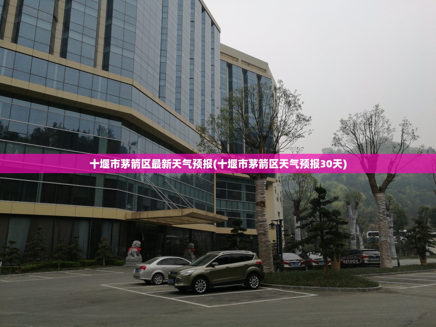 十堰市茅箭区最新天气预报(十堰市茅箭区天气预报30天)