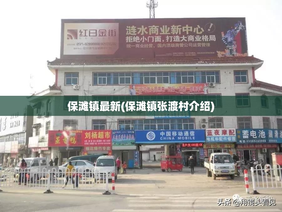 保滩镇最新(保滩镇张渡村介绍)