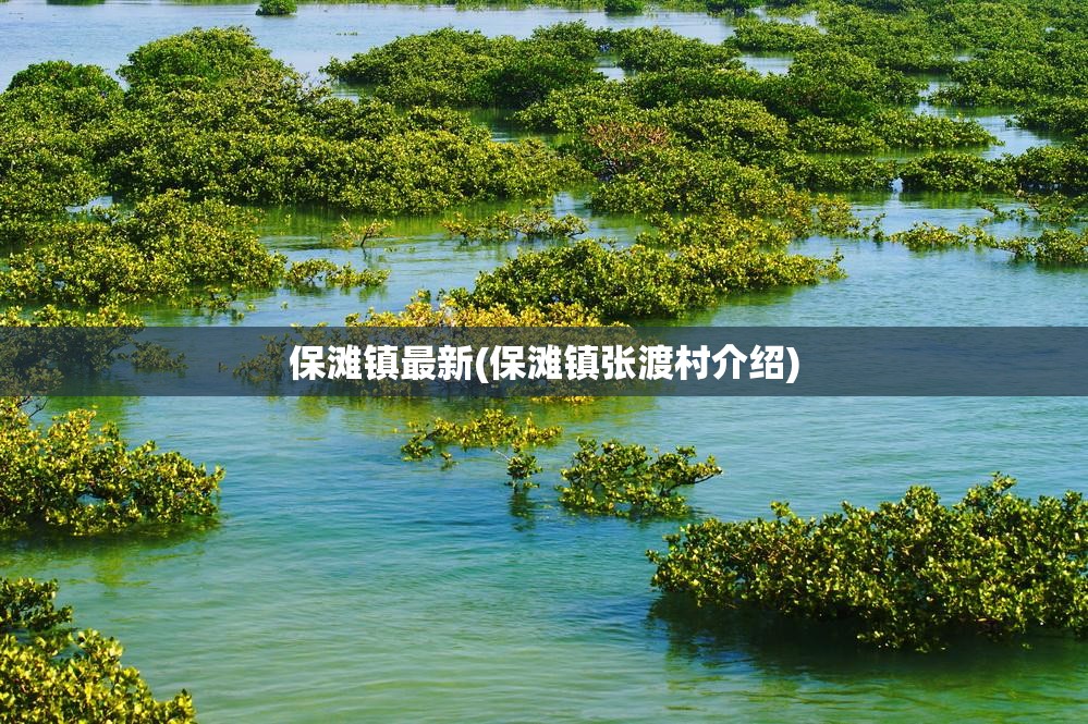 保滩镇最新(保滩镇张渡村介绍)