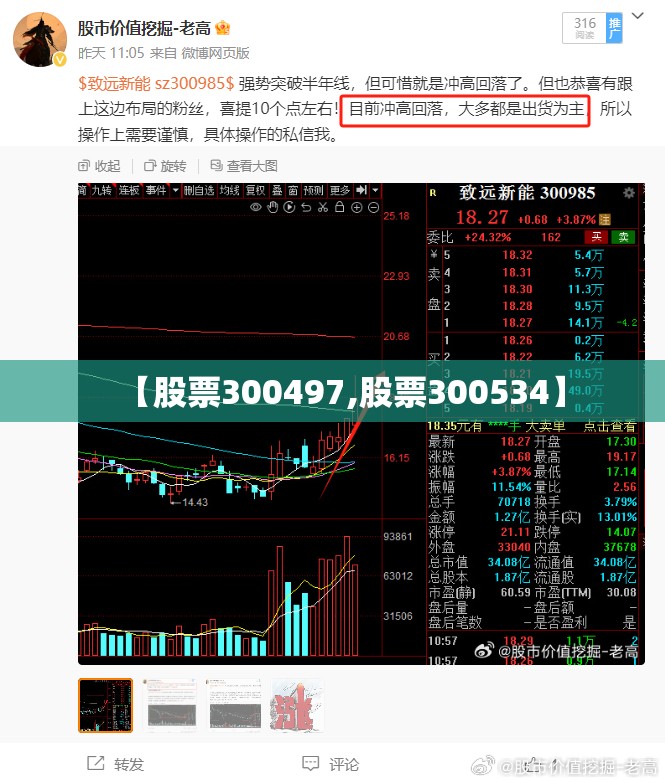 【股票300497,股票300534】