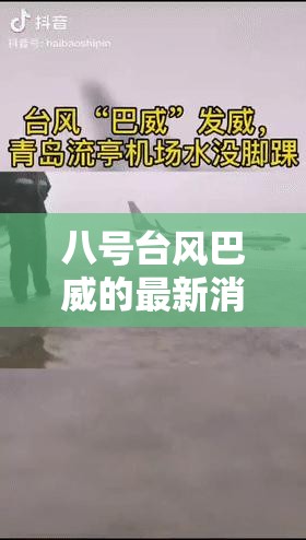 八号台风巴威的最新消息/八号台风巴威的最新消息新闻 八号台风巴威的最新消息/八号台风巴威的最新消息新闻