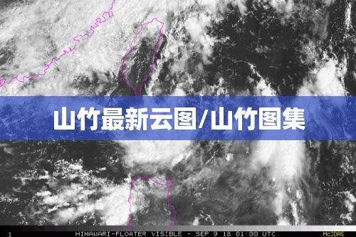 山竹最新云图/山竹图集