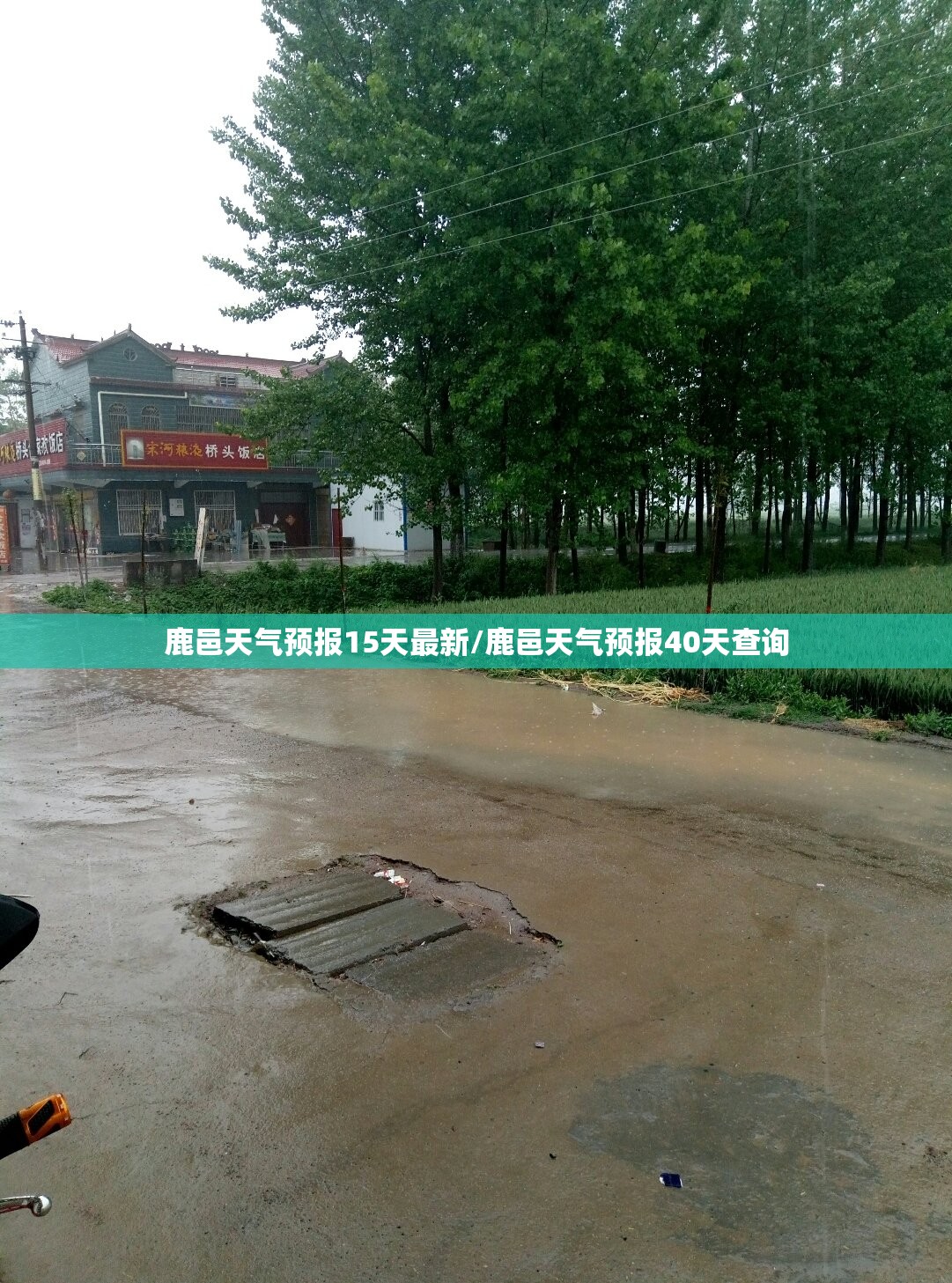 鹿邑天气预报15天最新/鹿邑天气预报40天查询